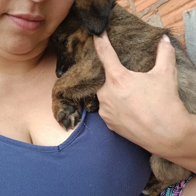 bate papo, site de namoro