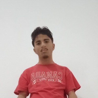 video chat, bate papo