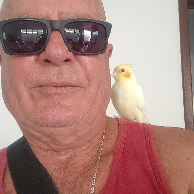 bate papo, namoro online